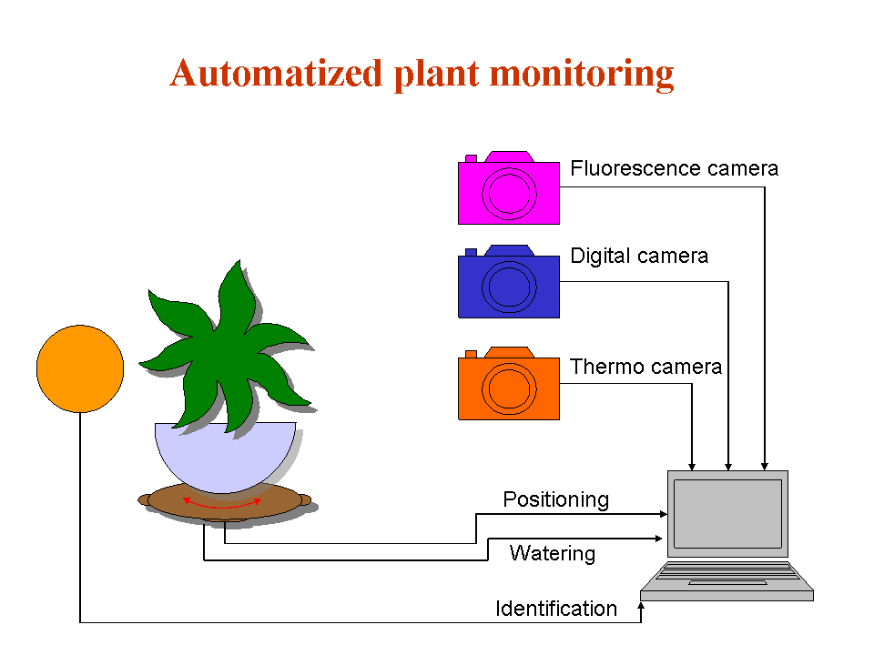 automatized plant monitoring