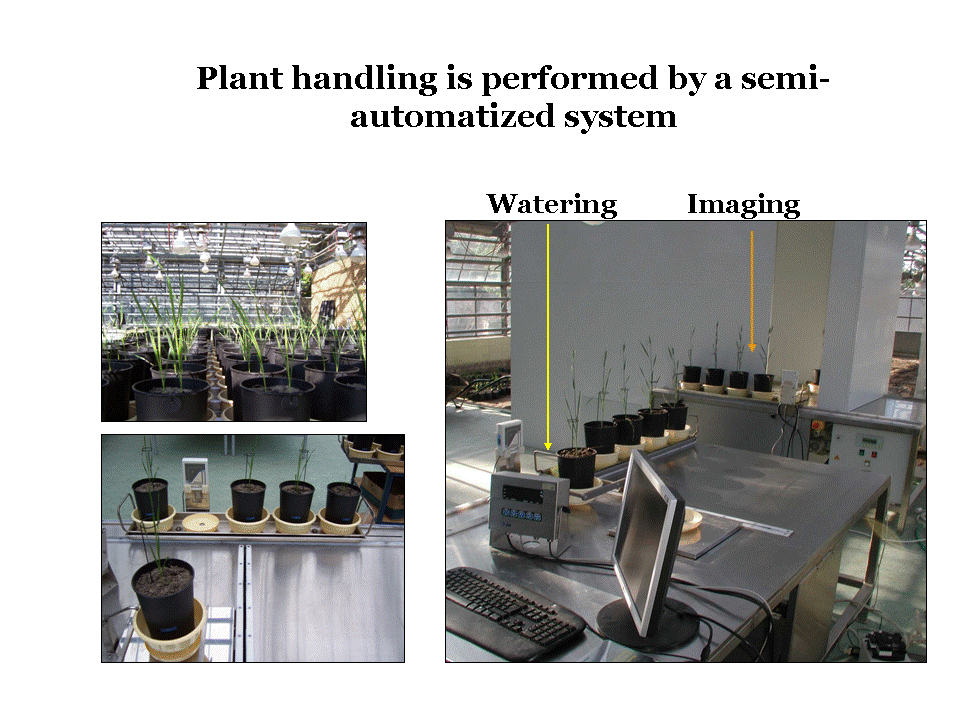 plant handling