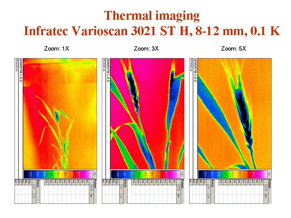 plant monitoring by thermal imaging